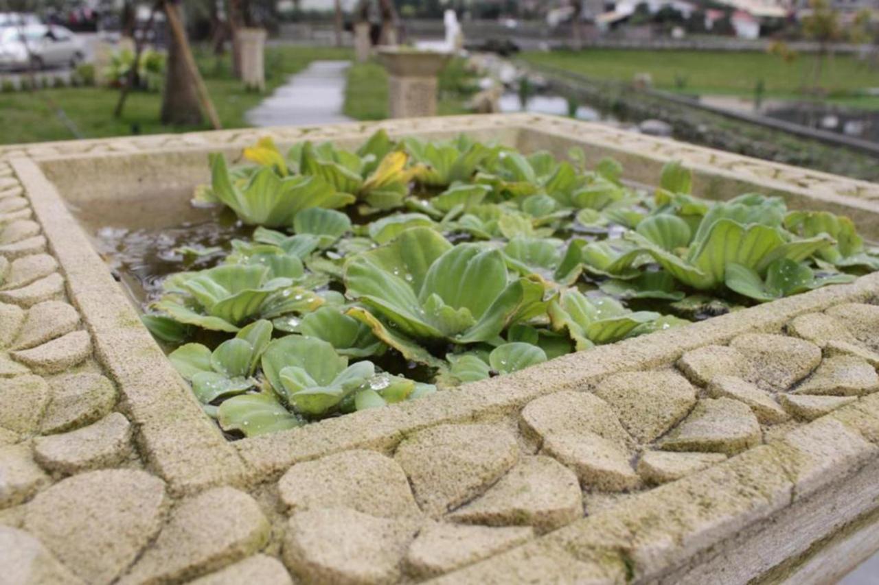 Aqua Star Villa Homestay Dongshan  Buitenkant foto